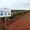 Fields in Brazil